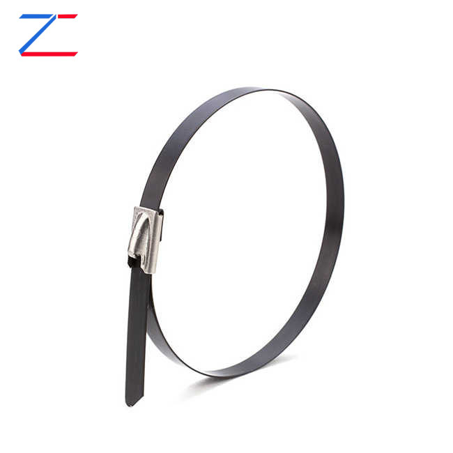 Coated Stainless Steel Cable Ties ကို ဘာကြောင့် ရွေးချယ်တာလဲ။